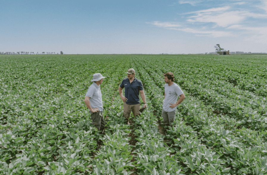Productores alertan que no es momento para invertir y bajará la siembra en&nbsp;2026