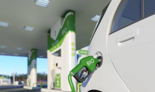Se establecieron nuevos valores oficiales para los biocombustibles ...