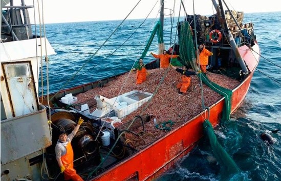 INDEC reporta suba del 14,3% en la pesca marítima