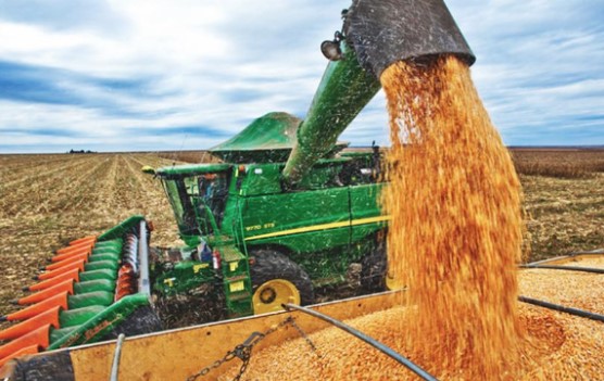 El Gobierno confirmó un esquema de reducción de retenciones para el&nbsp;agro