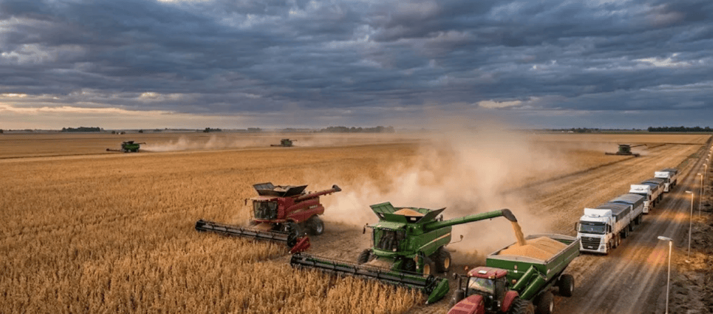 El agro proyecta exportaciones récord por US$42.200 millones