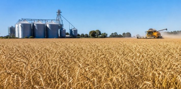 Las exportaciones agroindustriales marcaron un nuevo récord
